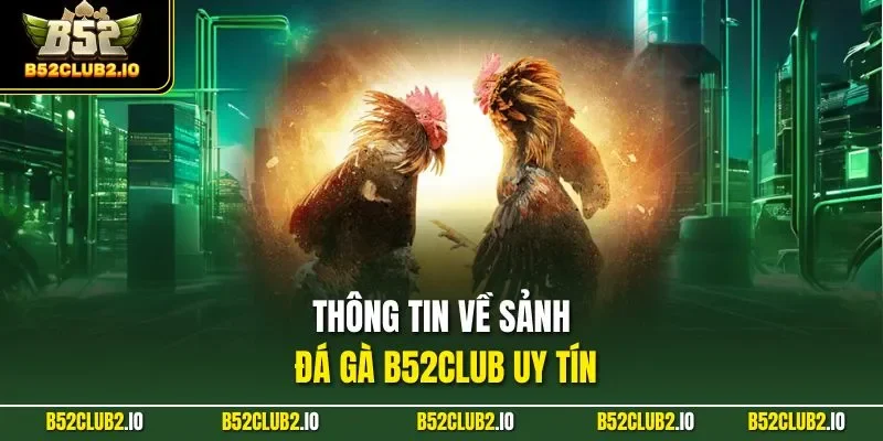 Thông tin về sảnh đá gà B52CLUB uy tín